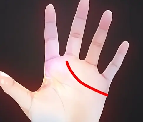 image-20240810230410281