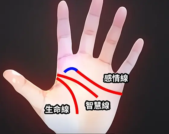 image-20240810230517338