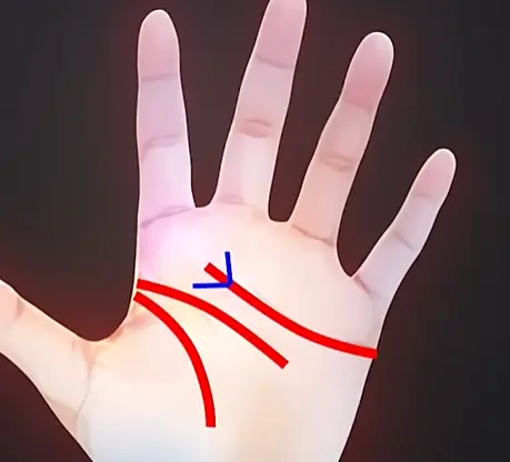 image-20240810230553334