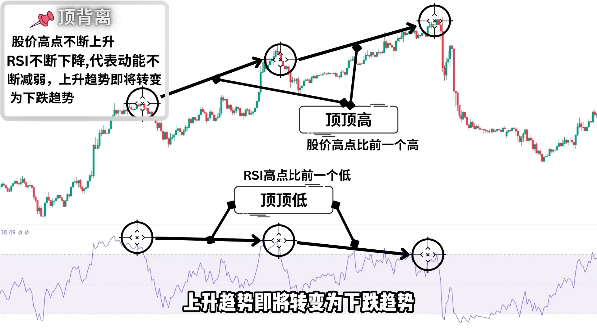 image-20240831224310535