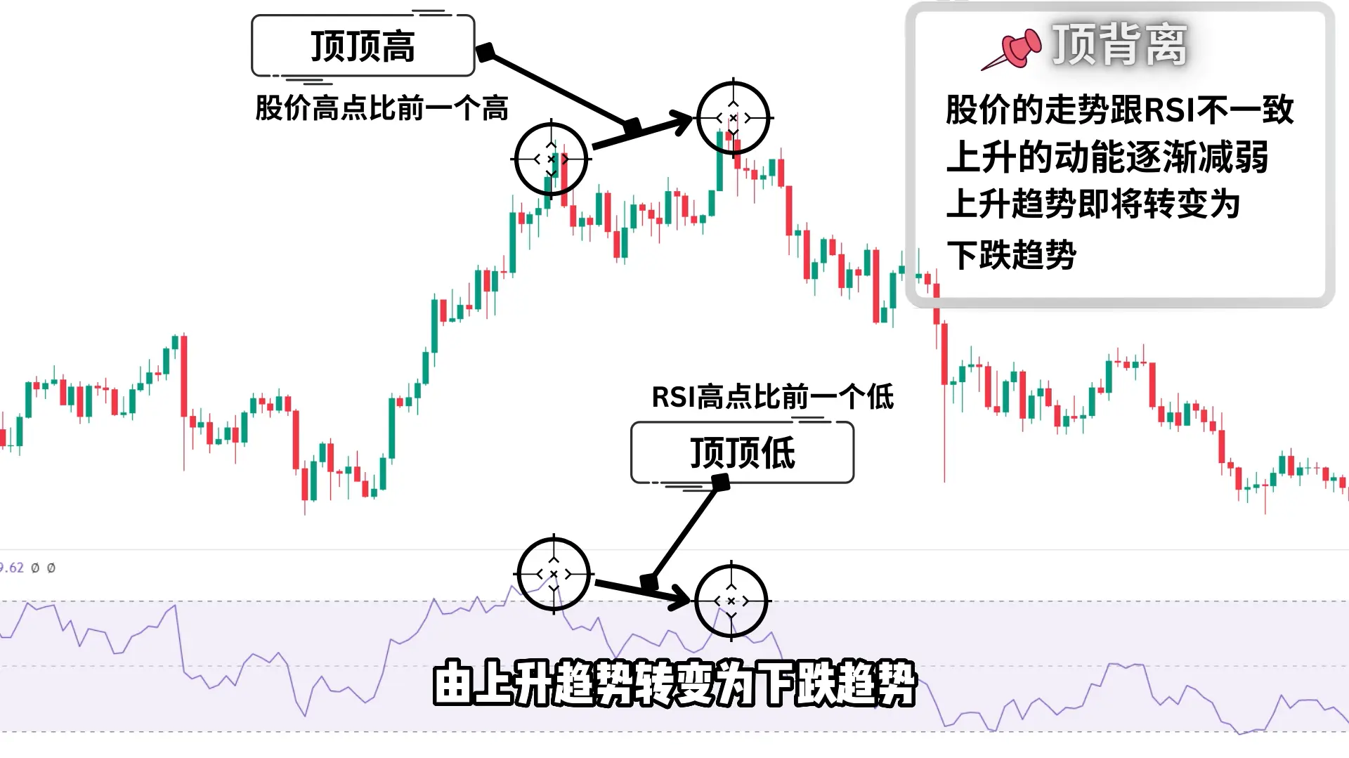 image-20240902000341086